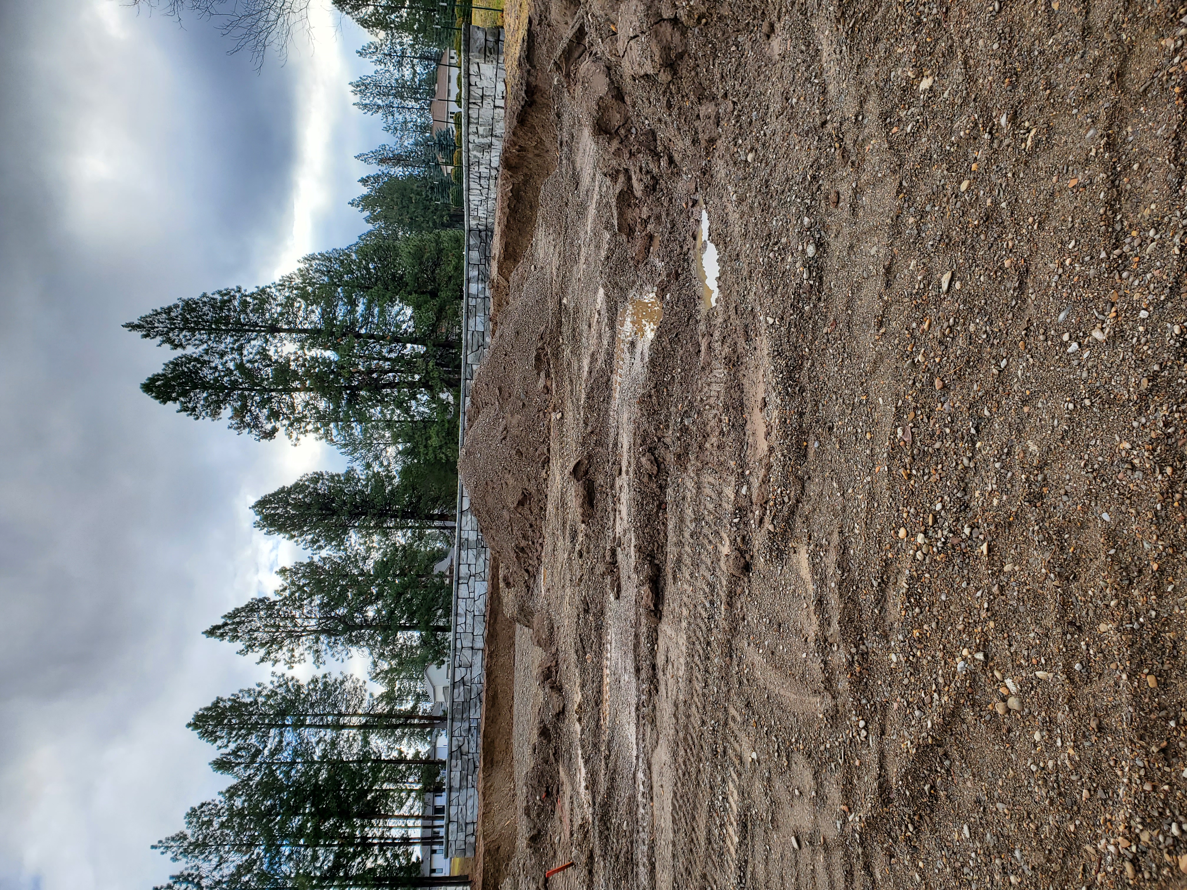 Discount Dirt Works project photo